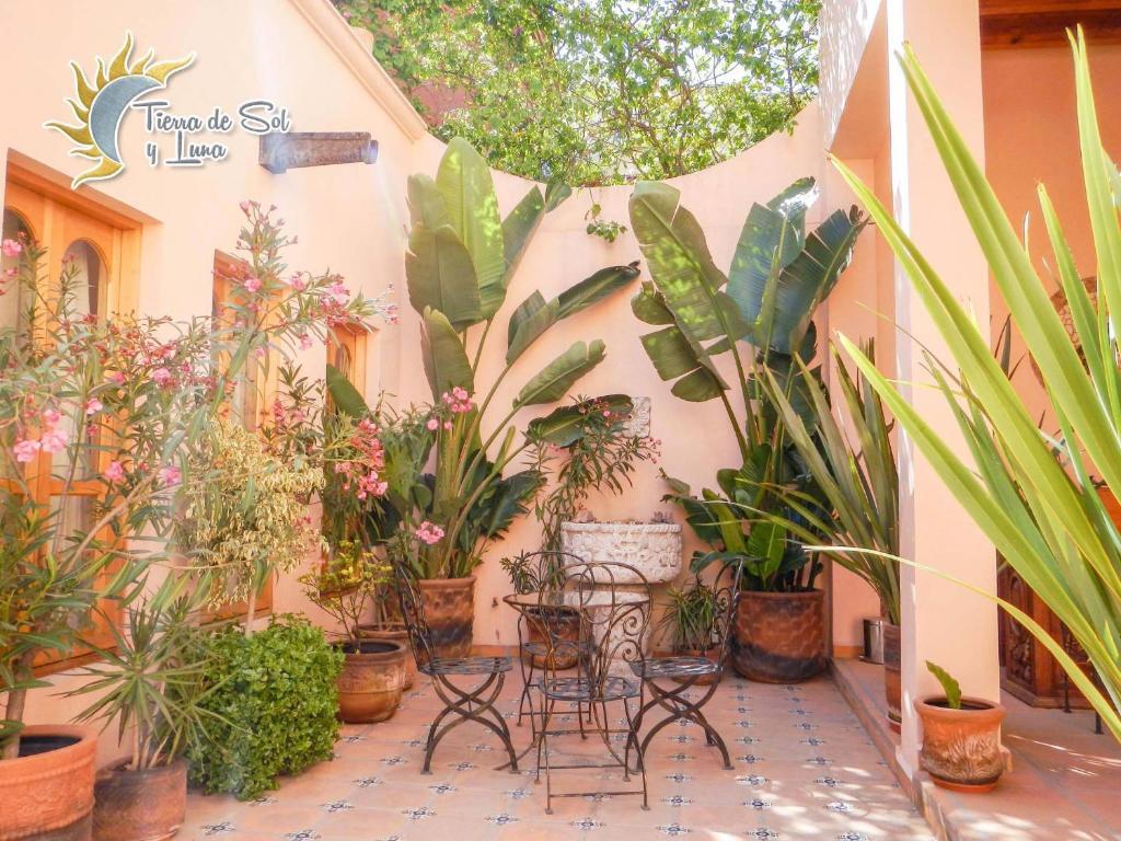 Hotel Tierra De Sol Y Luna Альенде Экстерьер фото